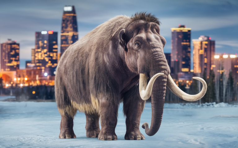 Reviving the Woolly Mammoth: Colossal Biosciences’ Groundbreaking Achievement with Woolly Mice