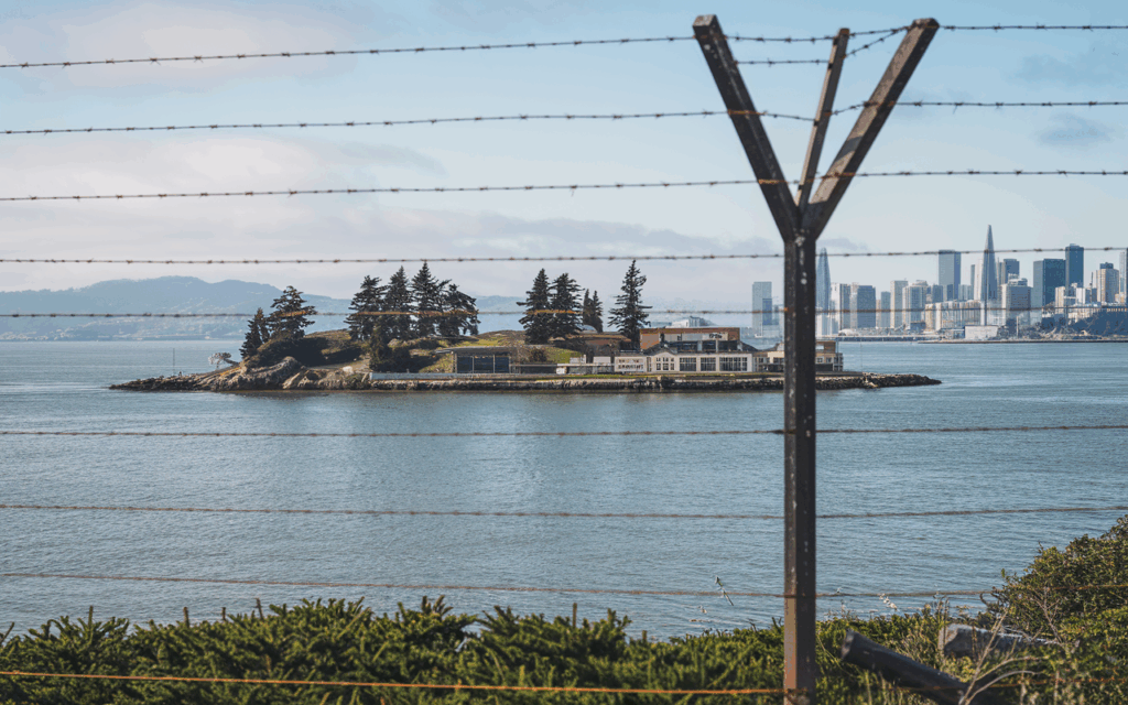 A Closer Look at Alligator Alcatraz: Understanding the Human Impact Behind Immigration Policy