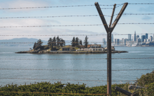 A Closer Look at Alligator Alcatraz: Understanding the Human Impact Behind Immigration Policy